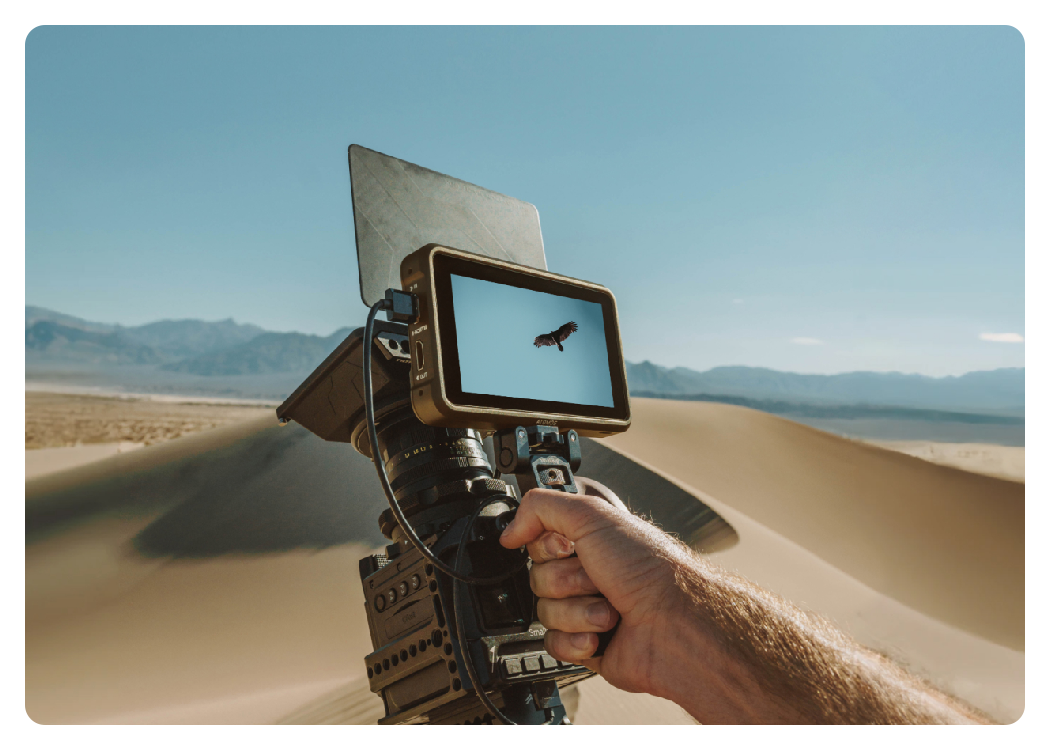 Atomos ninja in use for a wildlife shoot of a bird in the sky of a desert, Atomos Ninja
