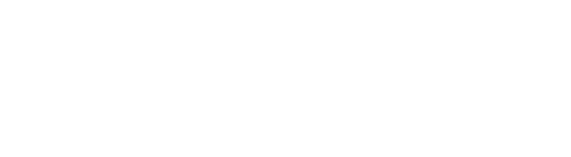 MS Flight Sim Logo